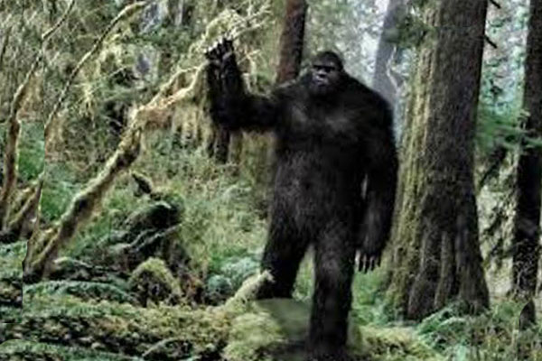 снежный человек в лесу