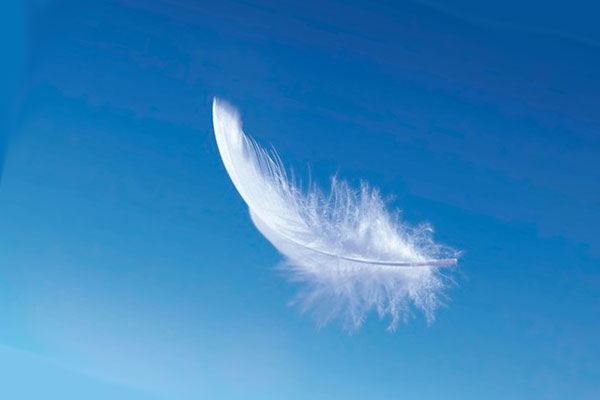 пёрышко в небе