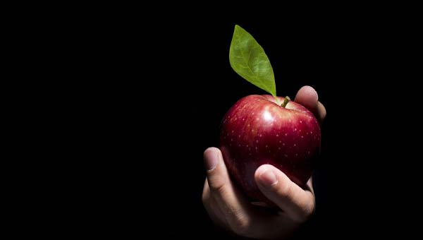 яблоко в руке