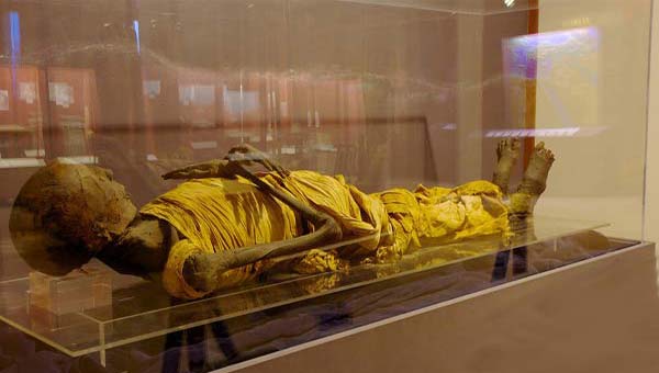 мумия в стеклянной витрине