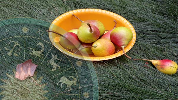 груши на траве, Зодиак