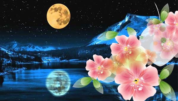 желтая Луна и розовые цветы