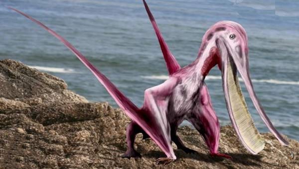 розовый птерозавр 