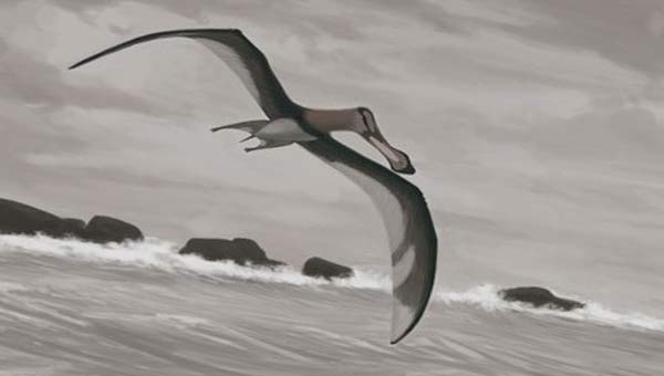 птерозавр в полете