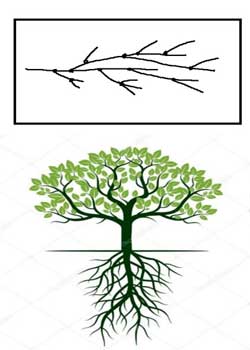 дерево рисунок