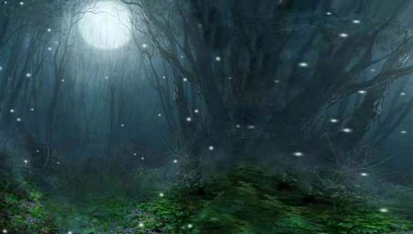 Луна и светлячки в ночном небе