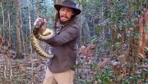 Кейн Даррант и агрессивный питон