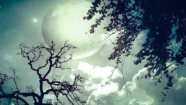 полная Луна среди деревьев