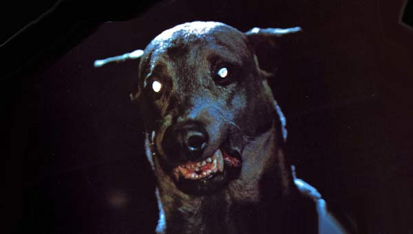 адская собака