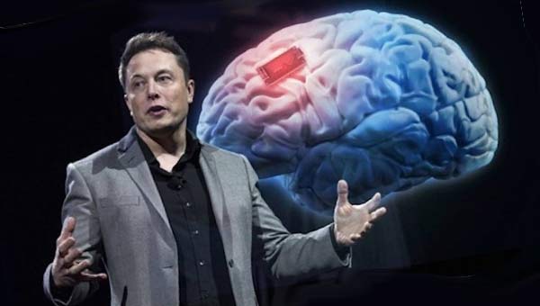 Илон Маск на фоне мозга
