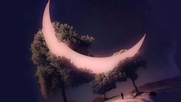 Луна запуталась в деревьях