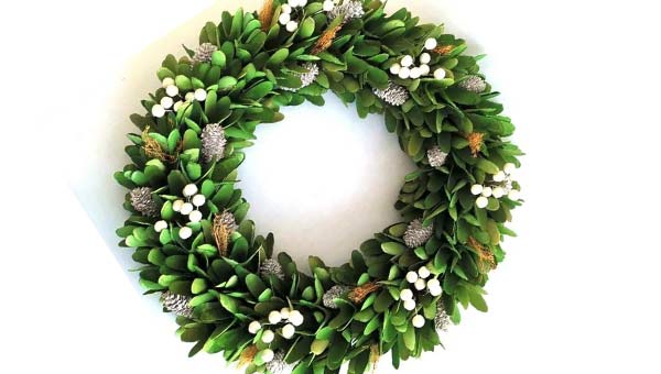 венок друидов