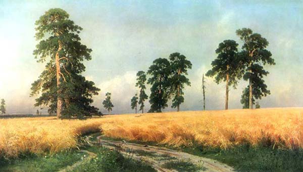 деревья и поле