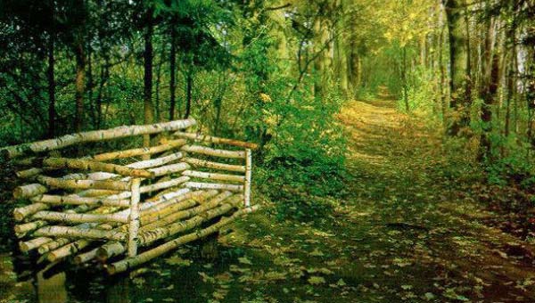 скамейка в парке