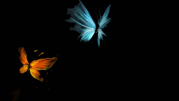 синяя и красная бабочки