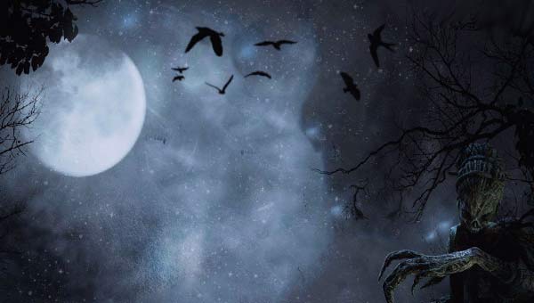 летучие мыши в ночном небе