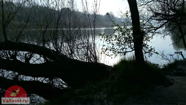 вид на реку