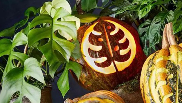 декор на Хэллоуин