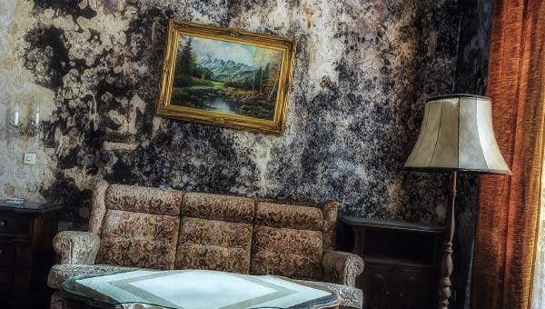 гостиничный номер, стена с плесенью