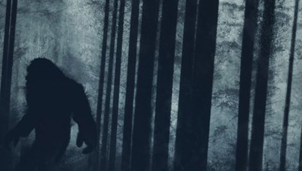 силуэт снежного человека