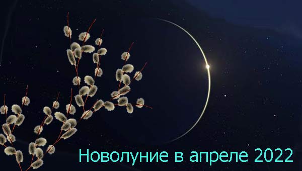 серп молодой Луны на фоне вербы