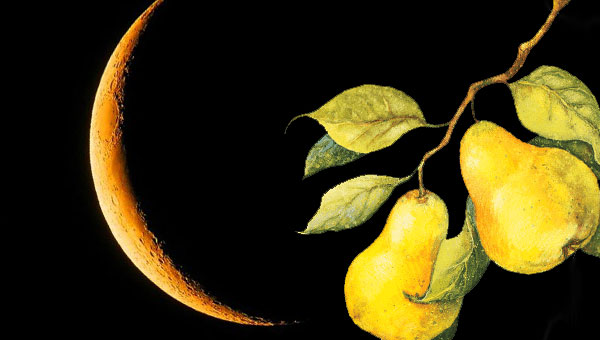 Луна и груши