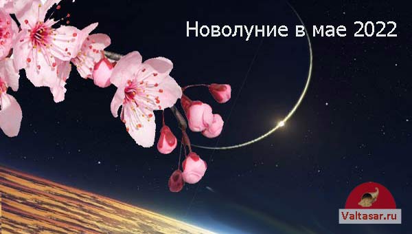 цветущая вишня и Луна