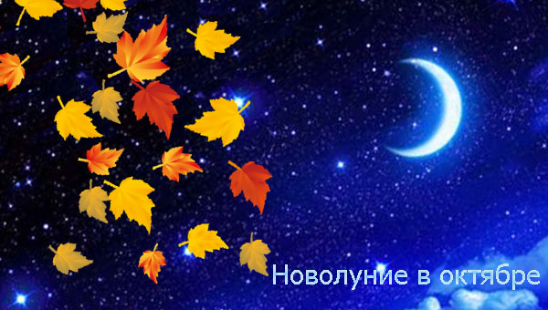 ночь и кленовые листья