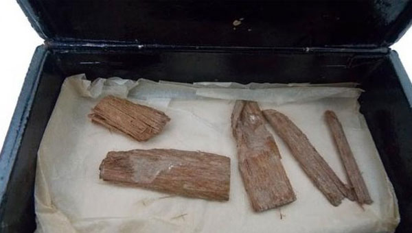 кусочки кедрового бруска из египетской пирамиды