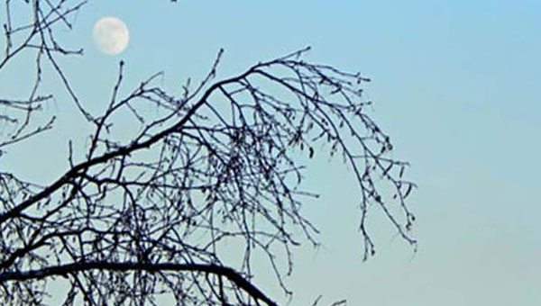 Луна в вечернем небе