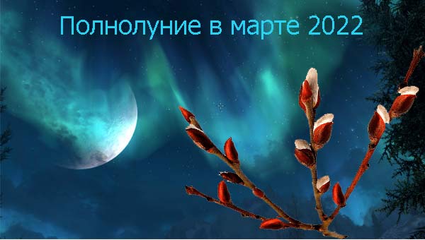 ветка вербы на фоне луны