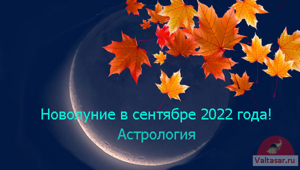 луна и кленовые листья