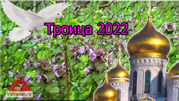 голубь и церковь