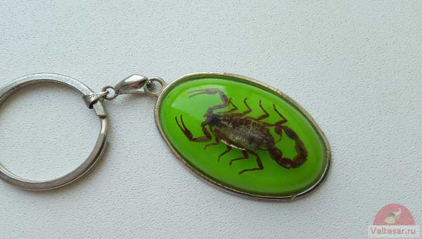 скорпион в брелоке