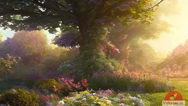 бук в лучах солнечного света