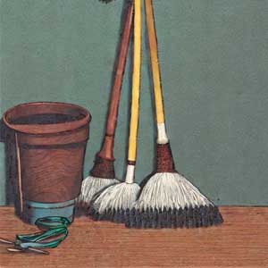 щетки и ведро