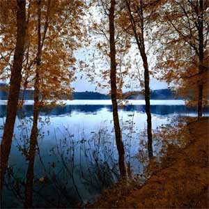 лесное озеро