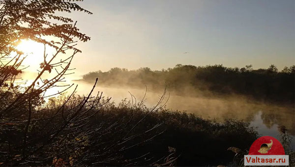 берег реки на закате