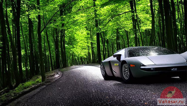 машина на лесной дороге