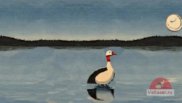 гусь на реке