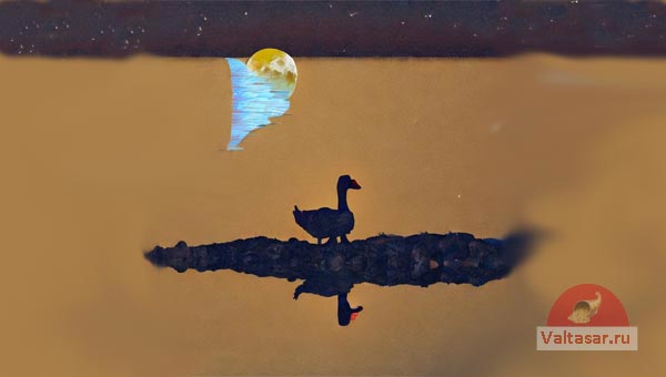луна и гусь на острове