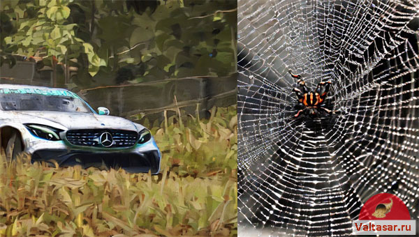 автомобиль и паук