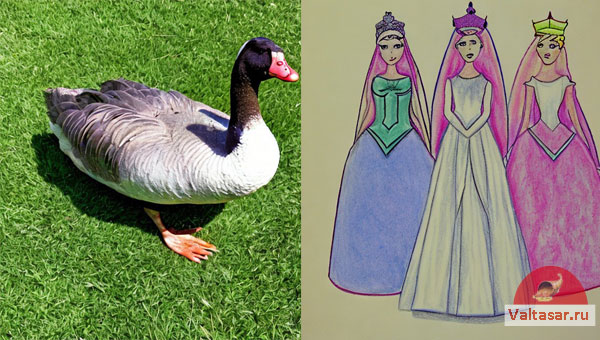 Гусь и принцессы
