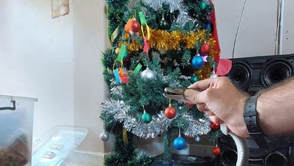 змея на фоне елки