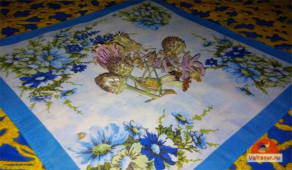 сухие травы на платке