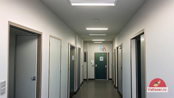 больничный коридор