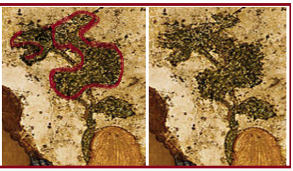 Обведенный фрагмент иконы