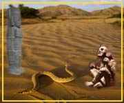 пустыня и змея