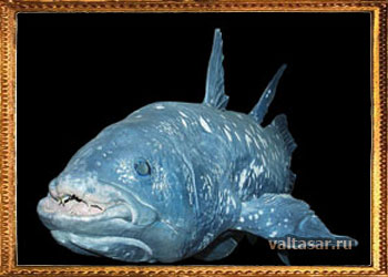 глубоководная рыба ламетрия