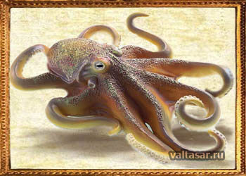 гигантский спрут - кракен